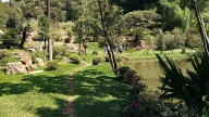 Jardim Japonês no Instituto Biociências da USP 2