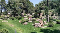 Jardim Japonês no Instituto Biociências da USP 3