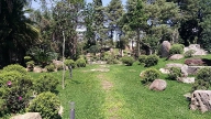 Jardim Japonês no Instituto Biociências da USP 6