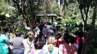 Inauguração do Jardim Japonês 3