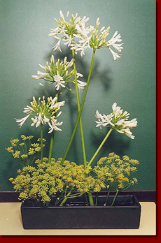 ikebana