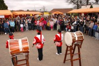 festa da azaleia hyougen taisso