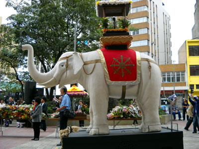 hanamatsuri elefante