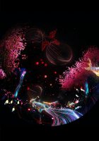 Fundação Japão em São Paulo promove “Sky Bridge Experience”: um encontro através das constelações